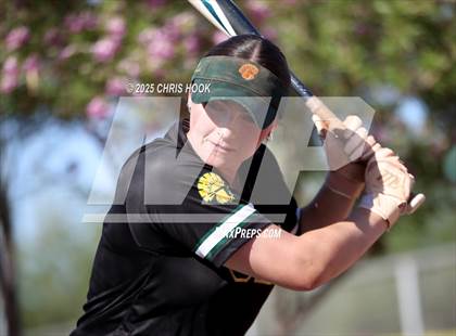 Thumbnail 2 in Canyon del Oro vs Willow Canyon (AIA Softball 4A Semifinal) photogallery.