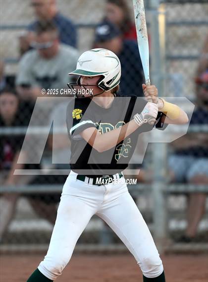 Thumbnail 3 in Canyon del Oro vs Willow Canyon (AIA Softball 4A Semifinal) photogallery.