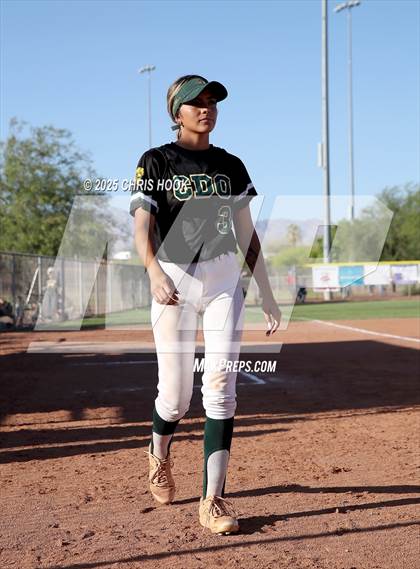 Thumbnail 1 in Canyon del Oro vs Willow Canyon (AIA Softball 4A Semifinal) photogallery.