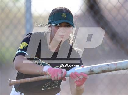 Thumbnail 3 in Canyon del Oro vs Willow Canyon (AIA Softball 4A Semifinal) photogallery.