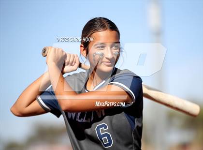 Thumbnail 3 in Canyon del Oro vs Willow Canyon (AIA Softball 4A Semifinal) photogallery.