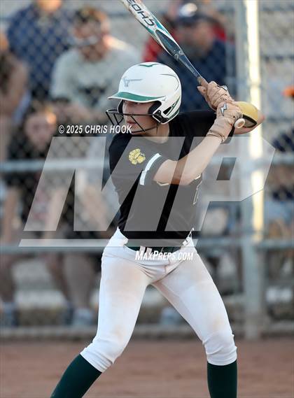 Thumbnail 1 in Canyon del Oro vs Willow Canyon (AIA Softball 4A Semifinal) photogallery.