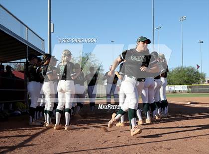 Thumbnail 1 in Canyon del Oro vs Willow Canyon (AIA Softball 4A Semifinal) photogallery.
