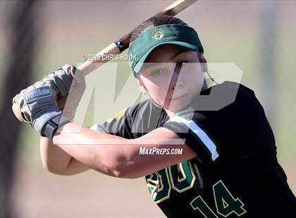 Thumbnail 1 in Canyon del Oro vs Willow Canyon (AIA Softball 4A Semifinal) photogallery.