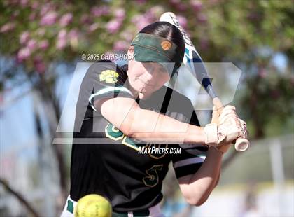Thumbnail 3 in Canyon del Oro vs Willow Canyon (AIA Softball 4A Semifinal) photogallery.