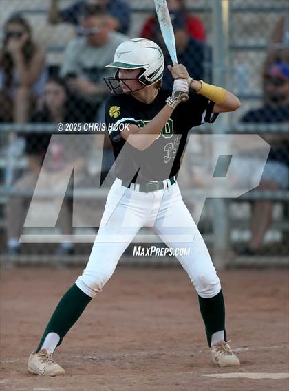 Thumbnail 2 in Canyon del Oro vs Willow Canyon (AIA Softball 4A Semifinal) photogallery.