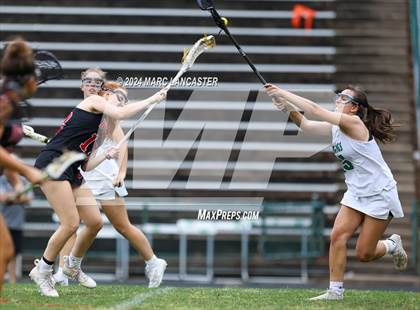 Thumbnail 2 in Butler @ Myers Park photogallery.