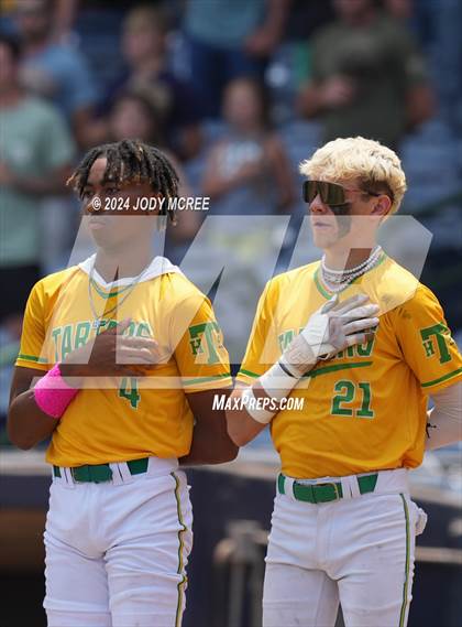 Thumbnail 3 in Pine Grove vs Taylorsville (MSHAA 1A Final - Game 2) photogallery.