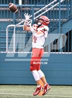 Photo from the gallery "Palmyra-Macedon @ Vertus"