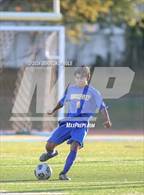 Photo from the gallery "Carey @ Roosevelt"