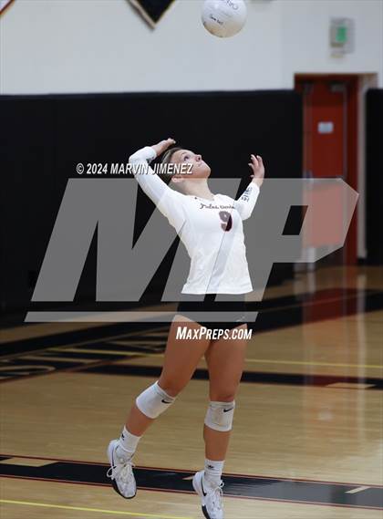 Thumbnail 3 in Palos Verdes vs. Oaks Christian photogallery.