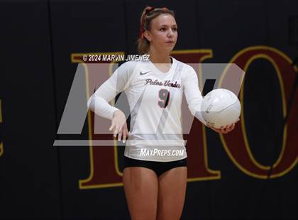 Thumbnail 3 in Palos Verdes vs. Oaks Christian photogallery.