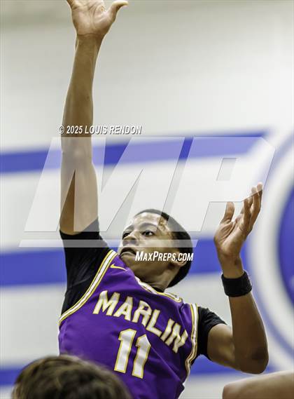 Thumbnail 2 in Marlin @ Robinson photogallery.