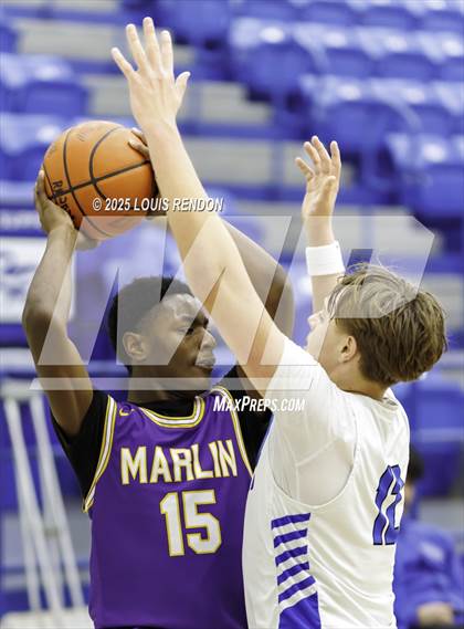 Thumbnail 1 in Marlin @ Robinson photogallery.