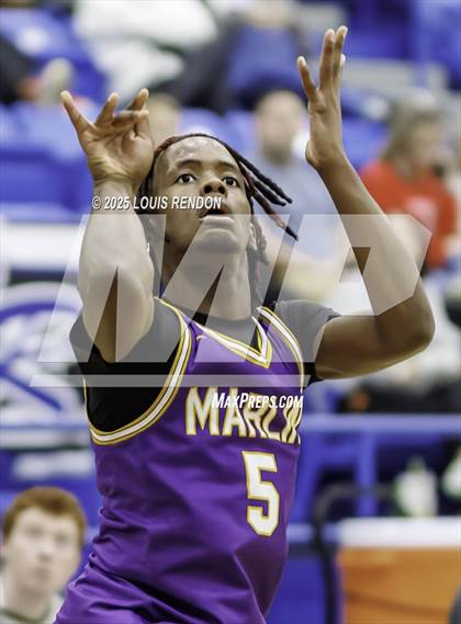 Thumbnail 1 in Marlin @ Robinson photogallery.