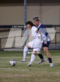 Photo from the gallery "Bellarmine College Prep vs. Everett Alvarez (CIFCCS D1 Championship)"