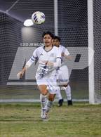 Photo from the gallery "Bellarmine College Prep vs. Everett Alvarez (CIFCCS D1 Championship)"