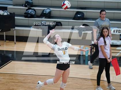 Thumbnail 2 in Seymour @ Avon (Avon Classic) photogallery.