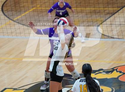 Thumbnail 3 in Seymour @ Avon (Avon Classic) photogallery.