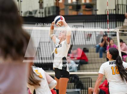 Thumbnail 1 in Seymour @ Avon (Avon Classic) photogallery.