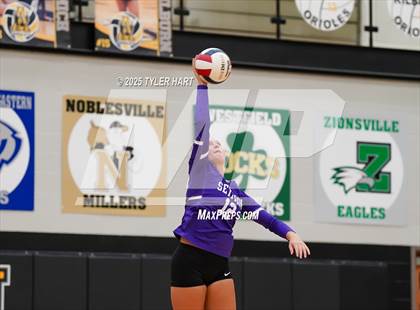 Thumbnail 2 in Seymour @ Avon (Avon Classic) photogallery.