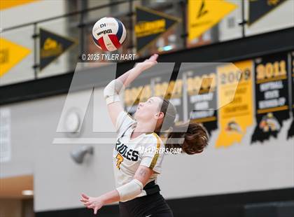 Thumbnail 1 in Seymour @ Avon (Avon Classic) photogallery.