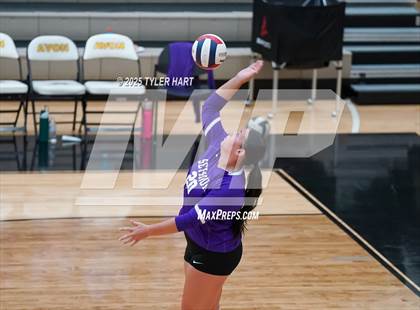 Thumbnail 3 in Seymour @ Avon (Avon Classic) photogallery.