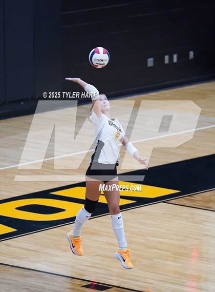 Thumbnail 1 in Seymour @ Avon (Avon Classic) photogallery.