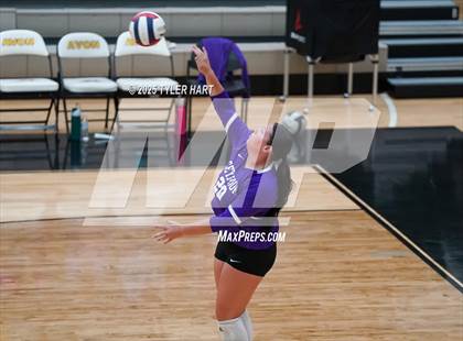 Thumbnail 1 in Seymour @ Avon (Avon Classic) photogallery.