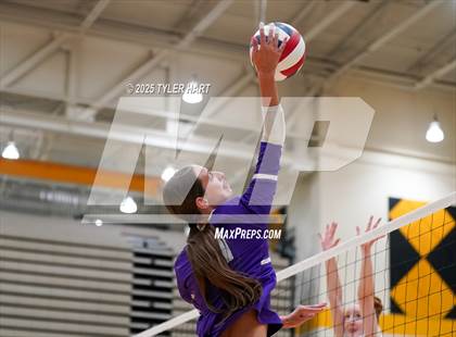 Thumbnail 3 in Seymour @ Avon (Avon Classic) photogallery.