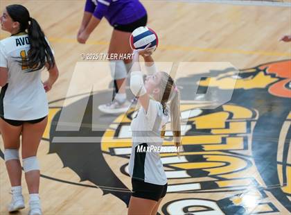 Thumbnail 2 in Seymour @ Avon (Avon Classic) photogallery.