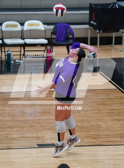 Thumbnail 1 in Seymour @ Avon (Avon Classic) photogallery.