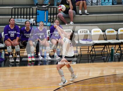 Thumbnail 1 in Seymour @ Avon (Avon Classic) photogallery.