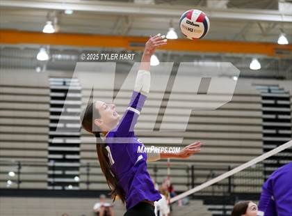 Thumbnail 1 in Seymour @ Avon (Avon Classic) photogallery.