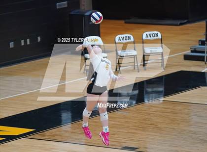 Thumbnail 2 in Seymour @ Avon (Avon Classic) photogallery.