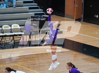 Thumbnail 2 in Seymour @ Avon (Avon Classic) photogallery.