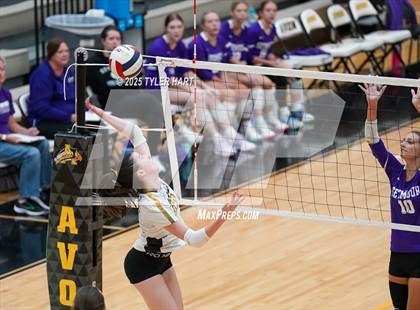 Thumbnail 1 in Seymour @ Avon (Avon Classic) photogallery.