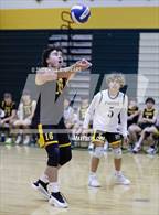 Photo from the gallery "Tampa Bay HEAT @ Forest"