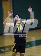 Photo from the gallery "Tampa Bay HEAT @ Forest"