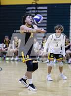 Photo from the gallery "Tampa Bay HEAT @ Forest"