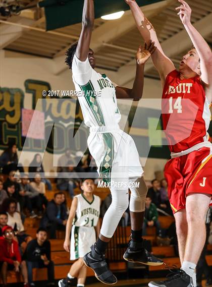 Thumbnail 1 in Jesuit @ Monterey Trail photogallery.