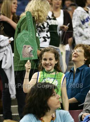 Friday, Feb 29, 2008