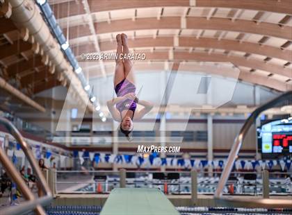 Thumbnail 1 in UIL Region IV-6A Girls Diving Finals photogallery.