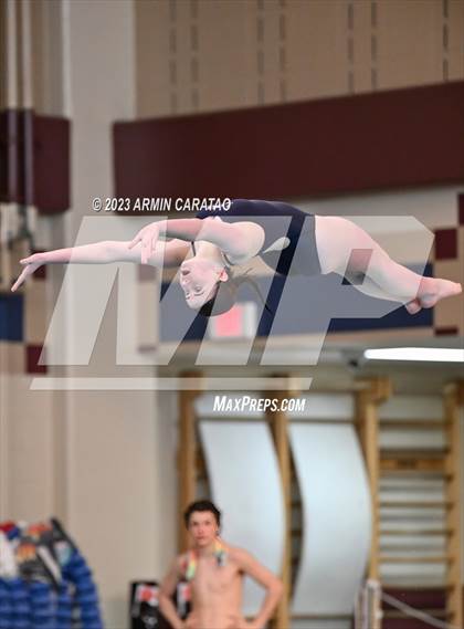 Thumbnail 1 in UIL Region IV-6A Girls Diving Finals photogallery.