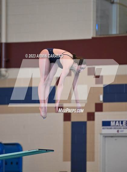 Thumbnail 3 in UIL Region IV-6A Girls Diving Finals photogallery.