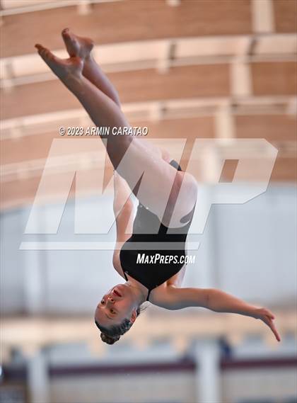 Thumbnail 2 in UIL Region IV-6A Girls Diving Finals photogallery.