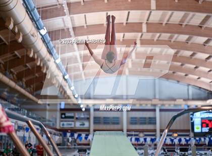 Thumbnail 2 in UIL Region IV-6A Girls Diving Finals photogallery.