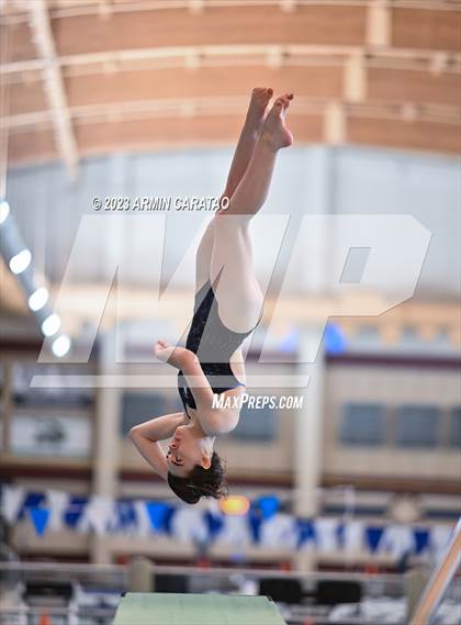 Thumbnail 1 in UIL Region IV-6A Girls Diving Finals photogallery.
