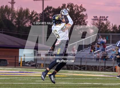 Thumbnail 3 in Hernando @ DeSoto Central photogallery.