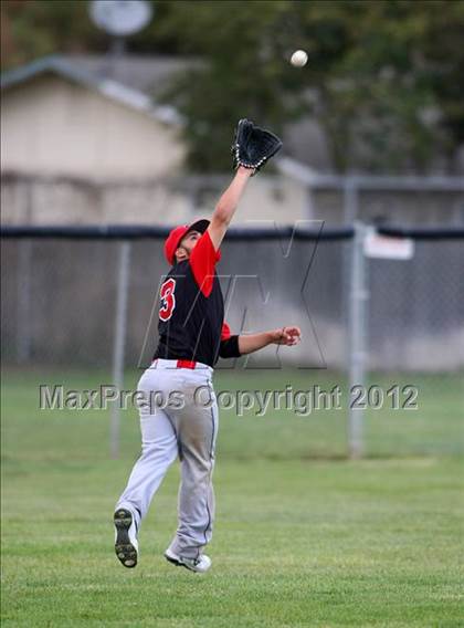 Thumbnail 1 in Sheldon @ Galt photogallery.